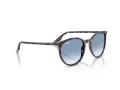 Ray-Ban Ochelari de Soare RB 2204 14303F 51