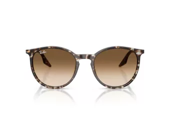 Ray-Ban Ochelari de Soare RB 2204 143151 51