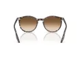Ray-Ban Ochelari de Soare RB 2204 143151 51