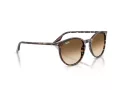 Ray-Ban Ochelari de Soare RB 2204 143151 51