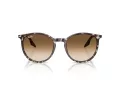 Ray-Ban Ochelari de Soare RB 2204 143151 54