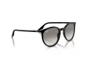 Ray-Ban Ochelari de Soare RB 0RB2204 901/32 51