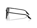 Ray-Ban Ochelari de Soare RB 0RB2204 901/32 51