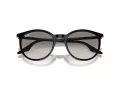 Ray-Ban Ochelari de Soare RB 0RB2204 901/32 54