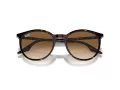 Ray-Ban Ochelari de Soare RB 0RB2204 902/51 51