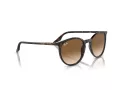 Ray-Ban Ochelari de Soare RB 0RB2204 902/51 54