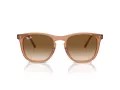 Ray-Ban Ochelari de Soare RB 2210 676451 53