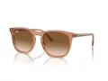 Ray-Ban Ochelari de Soare RB 2210 676451 53