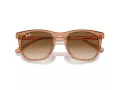 Ray-Ban Ochelari de Soare RB 2210 676451 53