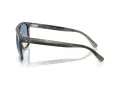 Ray-Ban Ochelari de Soare RB 2213 14243F 55