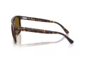 Ray-Ban Ochelari de Soare RB 2213 902/33 55