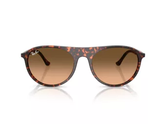 Ray-Ban Ochelari de Soare RB 2215 14293B 59