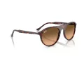 Ray-Ban Ochelari de Soare RB 2215 14293B 59