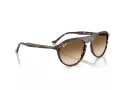 Ray-Ban Ochelari de Soare RB 2215 143151 56