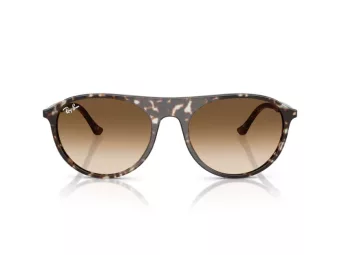 Ray-Ban Ochelari de Soare RB 2215 143151 59
