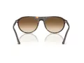 Ray-Ban Ochelari de Soare RB 2215 902/51 56