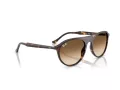 Ray-Ban Ochelari de Soare RB 2215 902/51 59