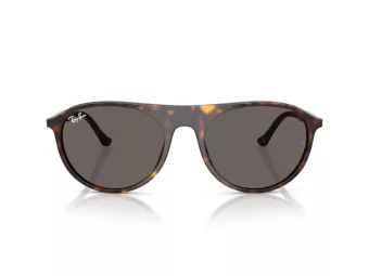 Ray-Ban Ochelari de Soare RB 2215 902/B1 56