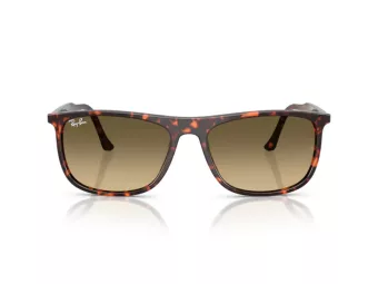 Ray-Ban Ochelari de Soare RB 2216 14290A 58