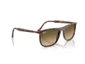 Ray-Ban Ochelari de Soare RB 2216 14290A 58