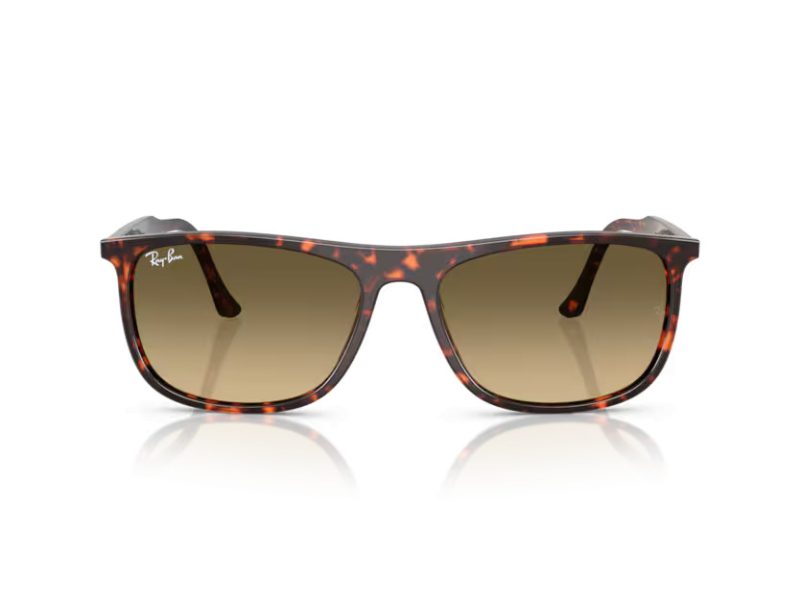 Ray-Ban Ochelari de Soare RB 2216 14290A