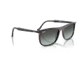 Ray-Ban Ochelari de Soare RB 2216 1430GK 61