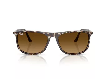 Ray-Ban Ochelari de Soare RB 2216 143185 61