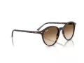 Ray-Ban Bernard Ochelari de Soare RB 2230 902/51 53