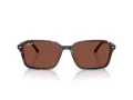 Ray-Ban Raimond Ochelari de Soare RB 2231 1416C5 56
