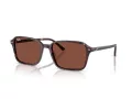 Ray-Ban Raimond Ochelari de Soare RB 2231 1416C5 56