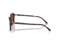 Ray-Ban Raimond Ochelari de Soare RB 2231 1416C5 56
