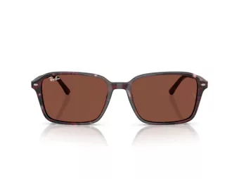 Ray-Ban Raimond Ochelari de Soare RB 2231 1416C5 58