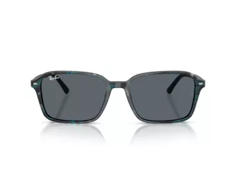 Ray-Ban Raimond Ochelari de Soare RB 2231 1417R5 56