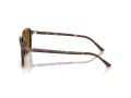 Ray-Ban Raimond Ochelari de Soare RB 2231 141833 56