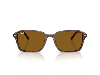 Ray-Ban Raimond Ochelari de Soare RB 2231 141833 58