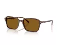 Ray-Ban Raimond Ochelari de Soare RB 2231 141833 58