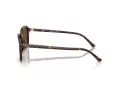 Ray-Ban Raimond Ochelari de Soare RB 2231 902/57 56