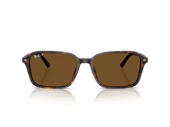 Ray-Ban Raimond Ochelari de Soare RB 2231 902/57 58
