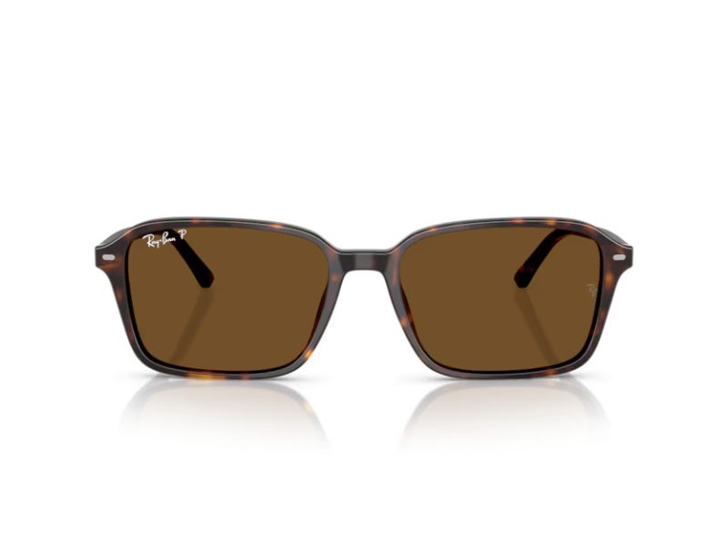 Ray-Ban Raimond Ochelari de Soare RB 2231 902/57