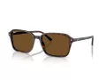 Ray-Ban Raimond Ochelari de Soare RB 2231 902/57 58