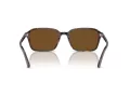 Ray-Ban Raimond Ochelari de Soare RB 2231 902/57 58
