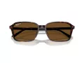 Ray-Ban Raimond Ochelari de Soare RB 2231 902/57 58