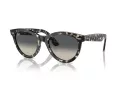 Ray-Ban Wayfarer Way Ochelari de Soare RB 2241 133371 51