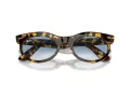 Ray-Ban Wayfarer Oval Ochelari de Soare RB 2242 13323F 50