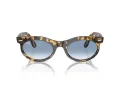 Ray-Ban Wayfarer Oval Ochelari de Soare RB 2242 13323F 53
