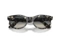 Ray-Ban Wayfarer Oval Ochelari de Soare RB 2242 133371