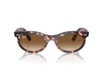 Ray-Ban Wayfarer Oval Ochelari de Soare RB 2242 133451 53