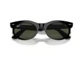 Ray-Ban Wayfarer Oval Ochelari de Soare RB 2242 901/31 53