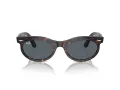 Ray-Ban Wayfarer Oval Ochelari de Soare RB 2242 902/R5 50