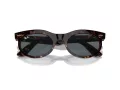 Ray-Ban Wayfarer Oval Ochelari de Soare RB 2242 902/R5 50
